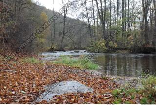 Photo Reference of Background Forest